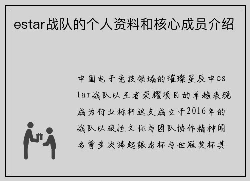 estar战队的个人资料和核心成员介绍